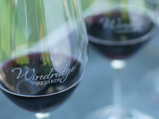Windridge Vineyards - Wines - All Wines
